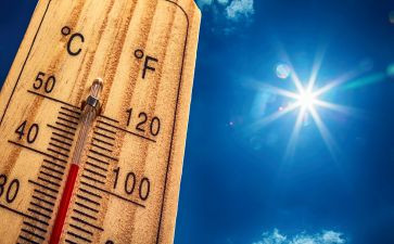热的雪观后感400字通用8篇