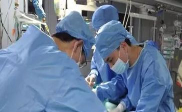 教师年度总结个人工作总结优秀8篇