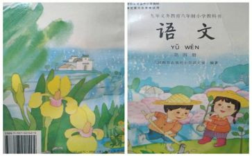 小学教师体育个人教学总结8篇