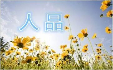 年终的个人品质总结报告6篇
