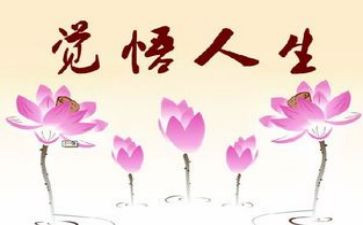 巜人生读后感最新8篇