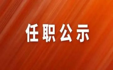 任职以来个人总结8篇