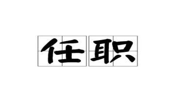 任职以来专业技术工作总结8篇