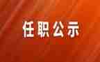 任职以来个人总结8篇