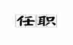 任职以来专业技术工作总结8篇
