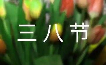 三八妇女节,心得体会参考7篇