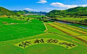 解决三农问题心得体会6篇