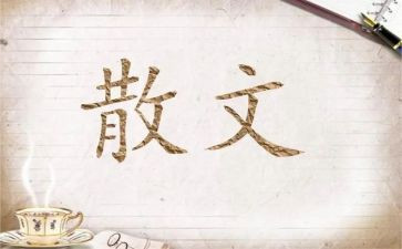 林清玄散文读后感7篇