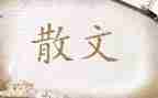 林清玄散文读后感7篇