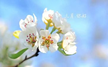 教师三月份工作总结8篇