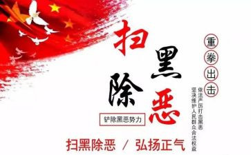 扫黑除恶工作年度总结6篇