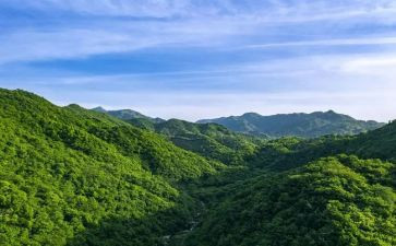 山钢培训总结最新5篇