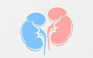 肾内科医生个人年终总结5篇