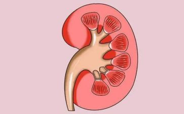 医生肾内科工作总结最新5篇