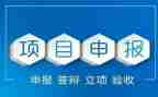小学教师职称申报专业技术工作总结6篇