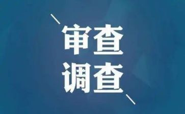 审查调查调查报告5篇