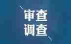 审查调查调查报告5篇