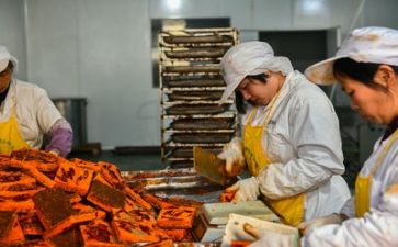 做安全生产工作报告通用8篇