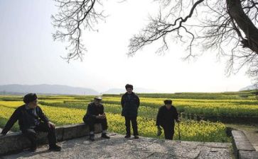 生活部工作个人总结优秀6篇