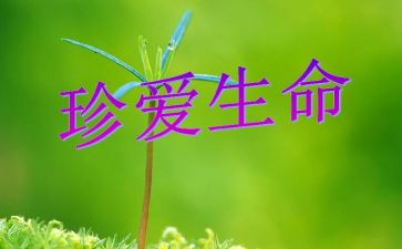 生命的圆演讲稿模板7篇