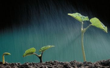 生命安全教育和教育心得8篇