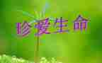 生命与安全演讲稿400字8篇