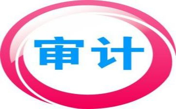 年度审计工作报告7篇
