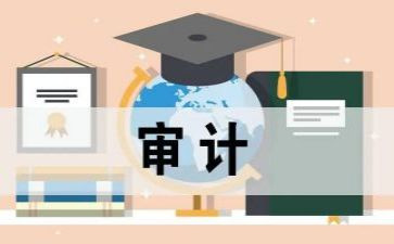 2024年审计部工作总结6篇