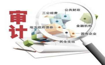 年度审计工作报告总结8篇