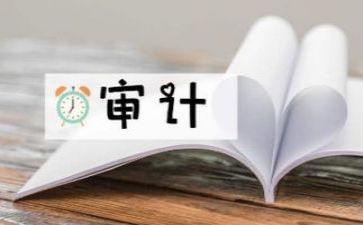 审计工作总结5篇