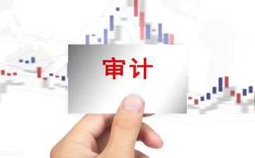 审计工作总结优秀7篇