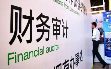 半年度审计工作总结推荐6篇