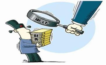 年度审计工作报告总结精选5篇