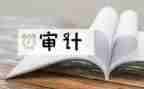 审计工作总结5篇