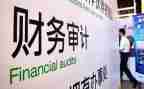 半年度审计工作总结推荐6篇
