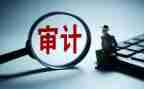 审计的工作总结报告5篇