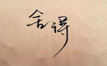 舍与得演讲稿600字优质7篇
