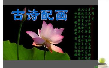 中班诗歌活动教案6篇