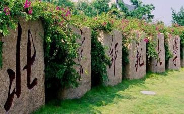 教师节教师大会心得体会5篇