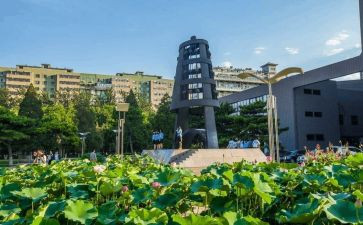 东师大培训心得6篇
