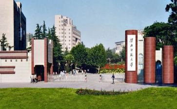 幼儿教师大班个人总结6篇