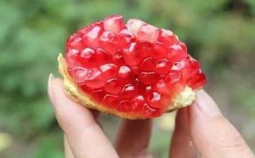 小石榴籽读后感8篇