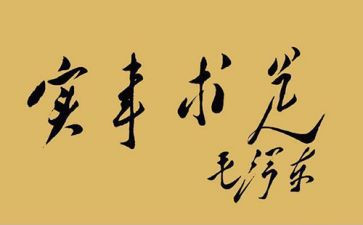 干实事心得6篇