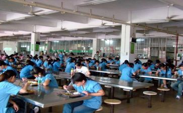 食堂报告总结5篇