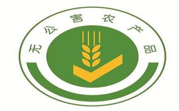 食药监局半年工作总结5篇