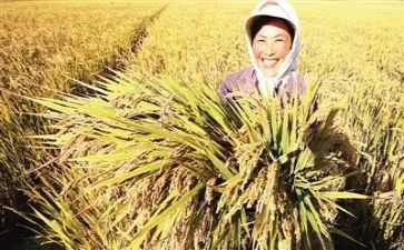 教育实习的收获心得8篇