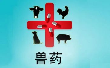 兽药店工作总结范文5篇