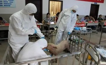 兽医畜牧个人总结报告6篇