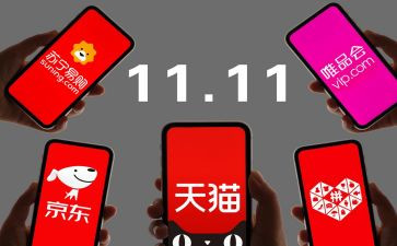 电商双11总结报告8篇