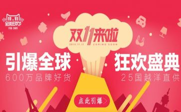 双11总结报告范文精选8篇